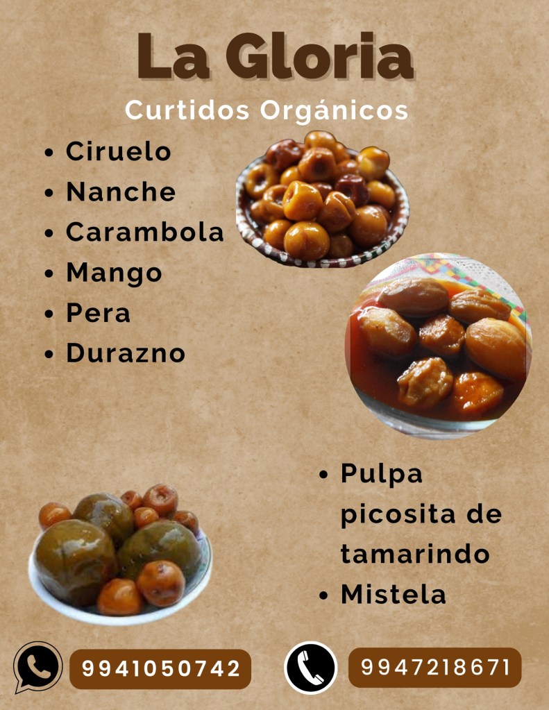 curtidos ciruelo nanche carambola mango pera durazno pulpa de tamarindo mistela