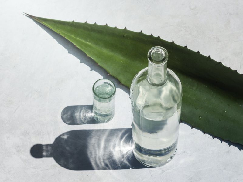 Mexcal de Oaxaca el paisa